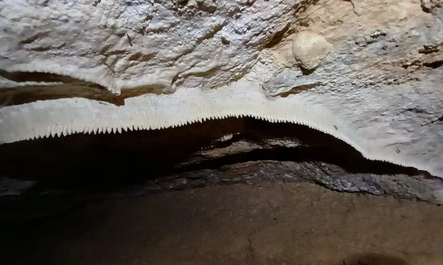 Fotografia de REC DE LES MUNTANYETES, COVA DEL (7 de 7)