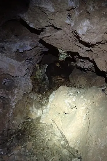 Fotografía de ARNAU, COVA D' (2 de 4)