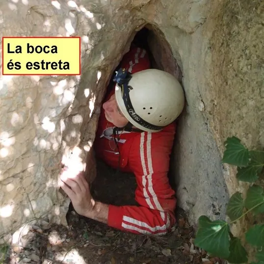 Fotografia de ROQUEROLS, COVA DE (1 de 4)