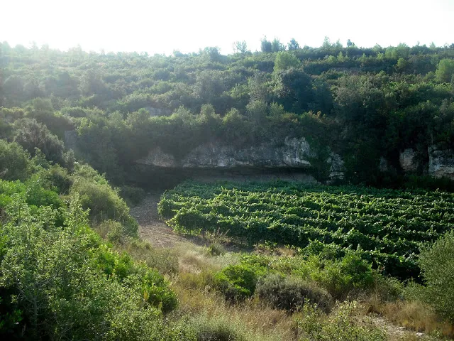 Fotografia de LLARGA, COVA (1 de 3)