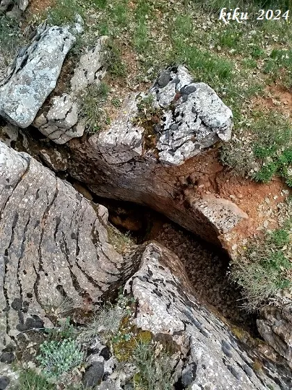Fotografia de CAMÍ NOU, FORAT DEL (3 de 4)