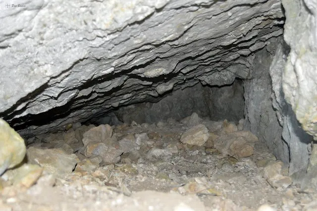 Photograph of TORTUGA, COVA DE LA (4 of 4)