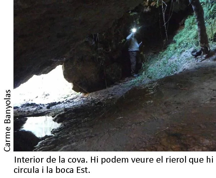 Photograph of FONT DE LA TOSCA, COVA DE LA (3 of 4)