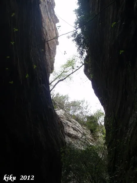 Fotografia de MOTLLATS DE LA PONA, AVENCOTS DELS (6 de 6)