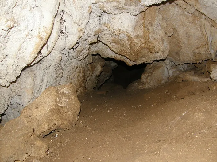 Photographie de ARRELS-CLONC, SISTEMA (3 sur 15)