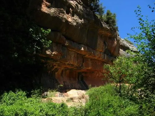 Fotografía de COLLET, COVA DEL (2 de 3)
