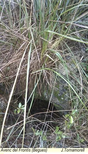 Fotografía de FRONTÍS,  AVENC (1 de 1)