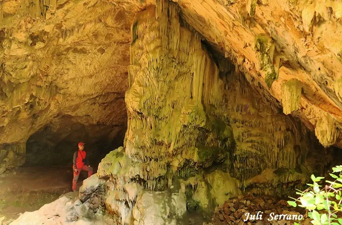 Photographie de BONICA, COVA (3 sur 6)