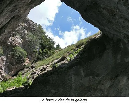 Photograph of FEIXA ALTA, FORAT GRAN DE LA (7 of 7)