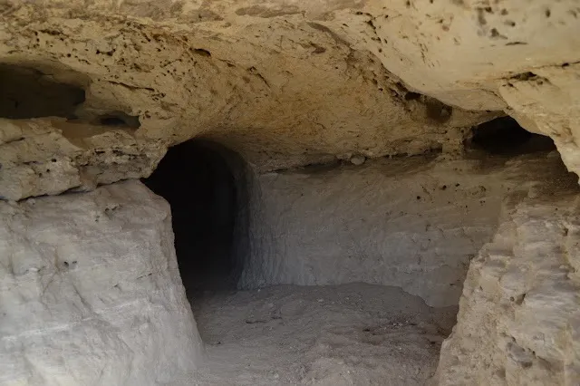 Fotografía de MONGONS, COVA DELS (4 de 4)