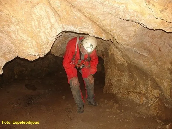 Photographie de CARRADON, COVA DE (7 sur 9)