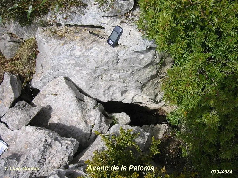 Photographie de PALOMA, AVENC DE LA (1 sur 1)