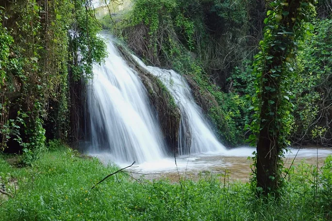 Fotografia de SALTANT, COVA DEL (1 de 6)