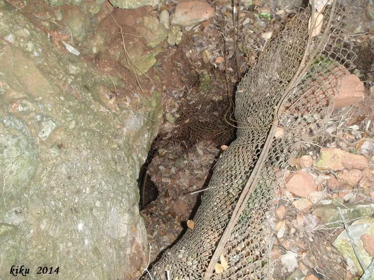 Fotografia de FONT FALSA DE GUANTA, LA (4 de 4)