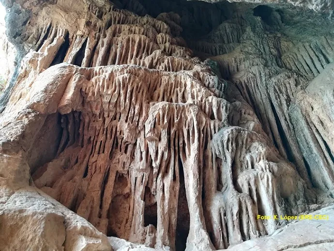 Fotografía de SALNITRE, COVA C.3 DEL (4 de 5)