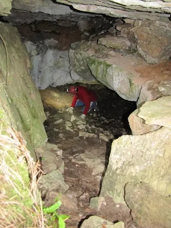 Fotografia de PINASSA, COVA DE LA (2 de 4)
