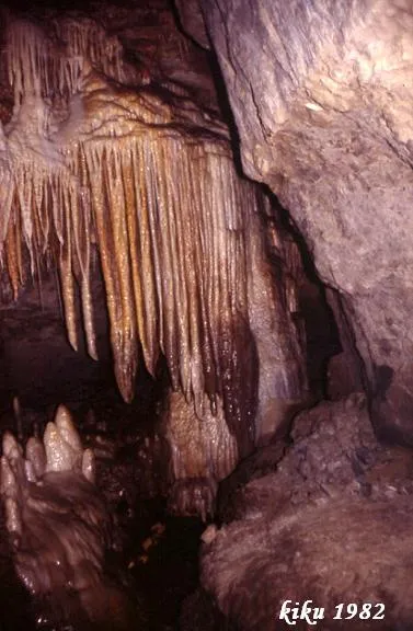 Photographie de SERRAT DEL VENT, COVA DEL (7 sur 20)