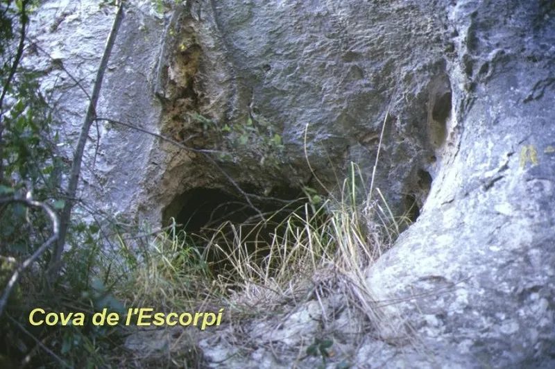Fotografía de ESCORPÍ, COVA DE L' (2 de 2)