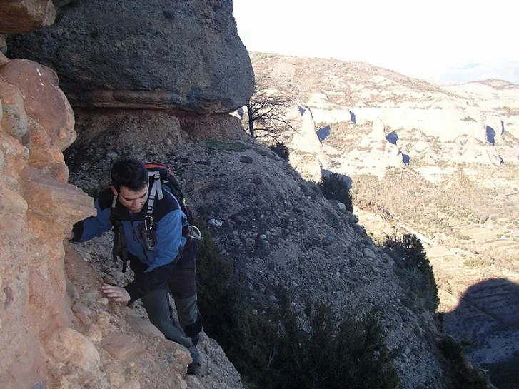 Fotografia de PALOMERA, GRALLER DE LA (2 de 2)