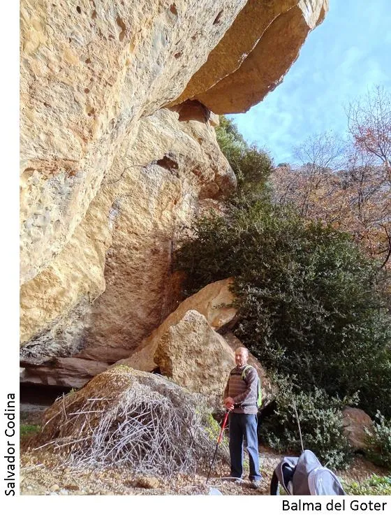 Photographie de GOTER, BALMA DEL (3 sur 3)