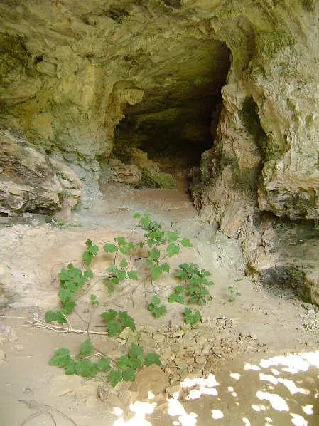 Fotografia de BASSOT, COVA DEL (2 de 2)