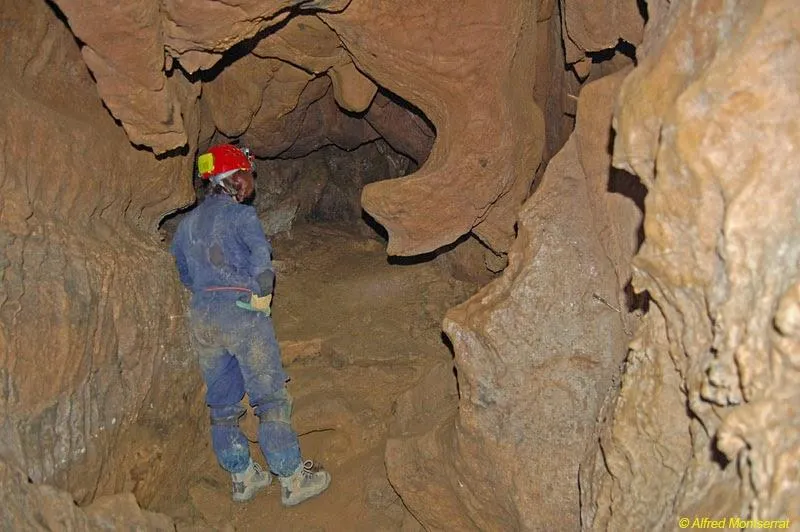 Fotografía de OLOPTE, COVA B D' (4 de 10)