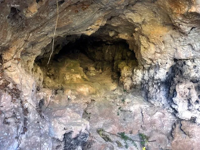Fotografia de BASSIOL, COVA DEL (3 de 6)