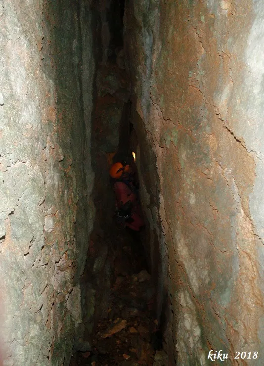 Photograph of PARDINA, GRALLER Nº3 DE LA (5 of 6)