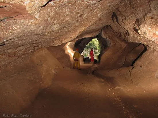 Photograph of SIMANYA, COVA (4 of 11)