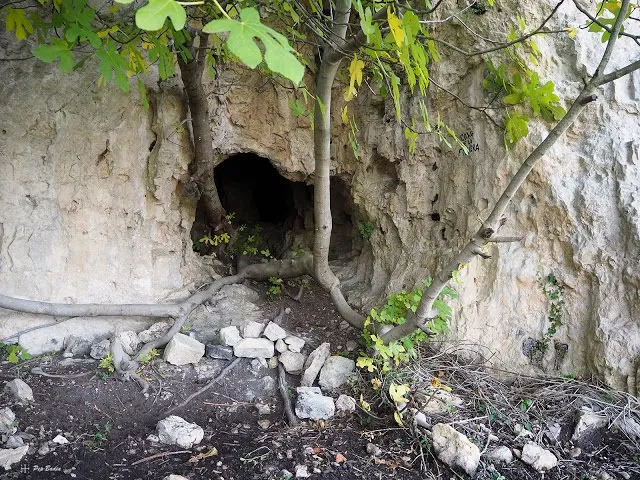 Fotografía de FIGUERA, COVA DE LA (1 de 3)