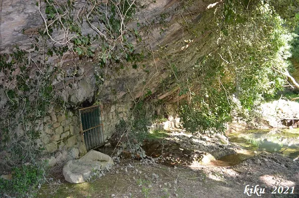 Fotografia de FORESOS, COVA DELS (2 de 13)
