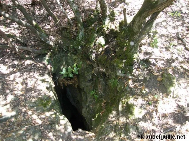 Fotografía de CASETA DELS PLANS, AVENC DE LA (1 de 1)