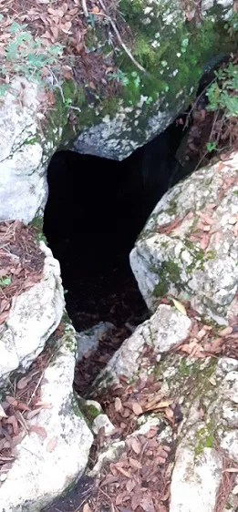 Fotografía de CAL SANT, COVA DE (2 de 5)