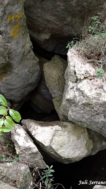 Fotografía de BLOCS, AVENC DELS (1 de 1)