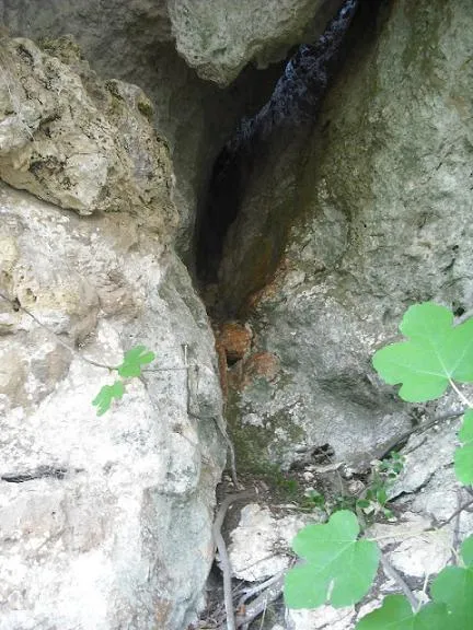 Fotografia de BARCA, COVA DE LA (2 de 3)