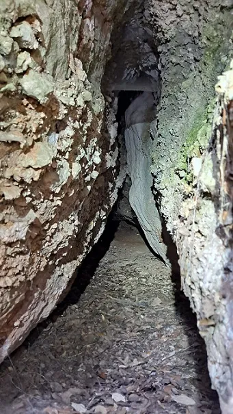 Photograph of MOSQUITS, COVA DELS (3 of 3)