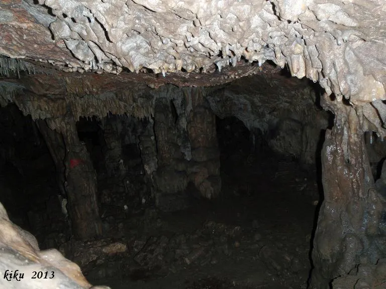 Fotografia de GARROFET, COVA DEL (7 de 8)