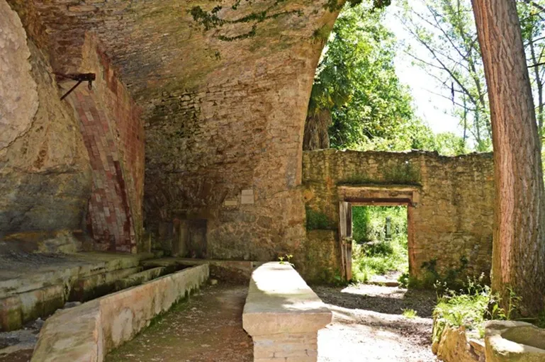 Photograph of RENTADOR DE LA LLANA DEL ROQUER, BALMA DEL (3 of 6)