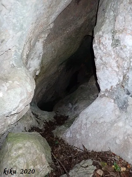 Fotografia de PELAGONS, AVENC DELS (4 de 4)