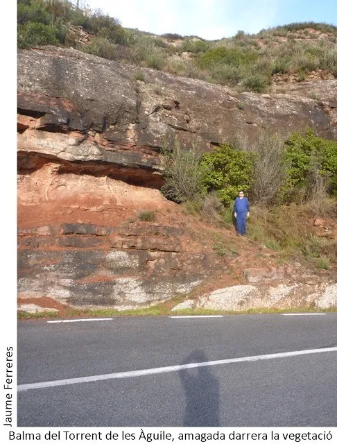 Fotografia de TORRENT DE LES ÀGUILES, BALMA DEL (1 de 2)