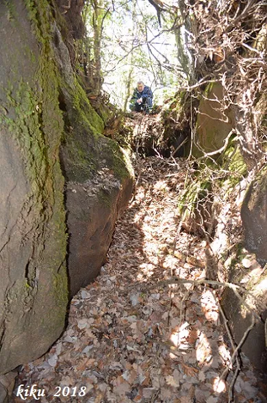 Fotografia de LLAURADOR, FORAT DEL (2 de 3)