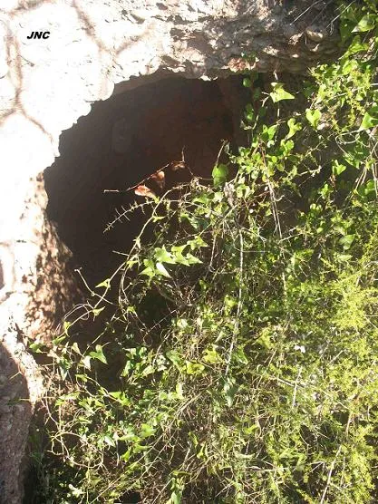 Fotografia de MENTIROSES DE COLLBATÓ (2 de 4)