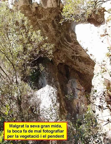 Fotografía de MONTGLÒS, COVA DE (3 de 5)