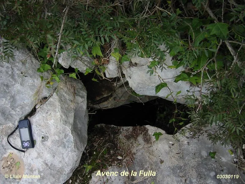 Fotografia de FULLA, AVENC DE LA (1 de 1)