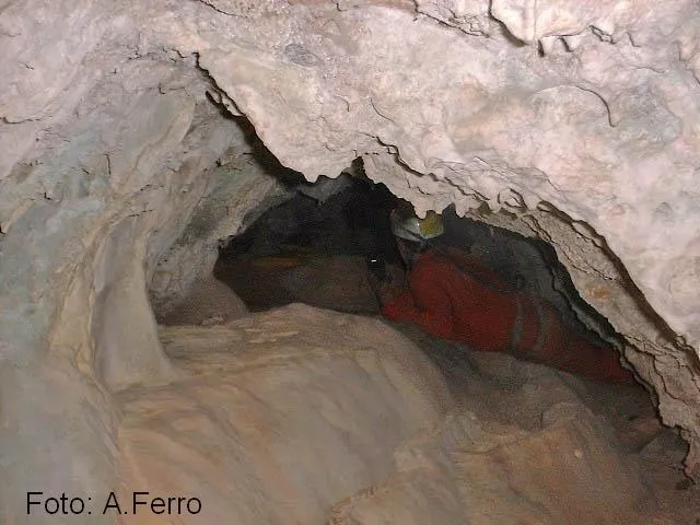 Photographie de CLARA, COVA (2 sur 3)