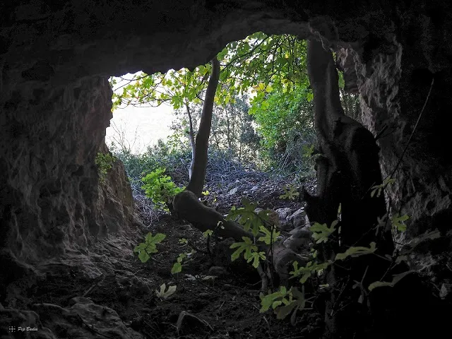 Fotografía de FIGUERA, COVA DE LA (2 de 3)