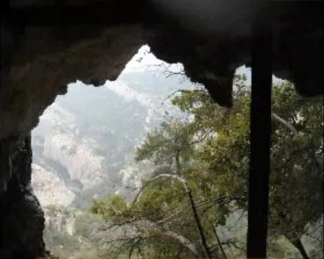 Photograph of DOMINGO GRAU, COVA D'EN (3 of 7)