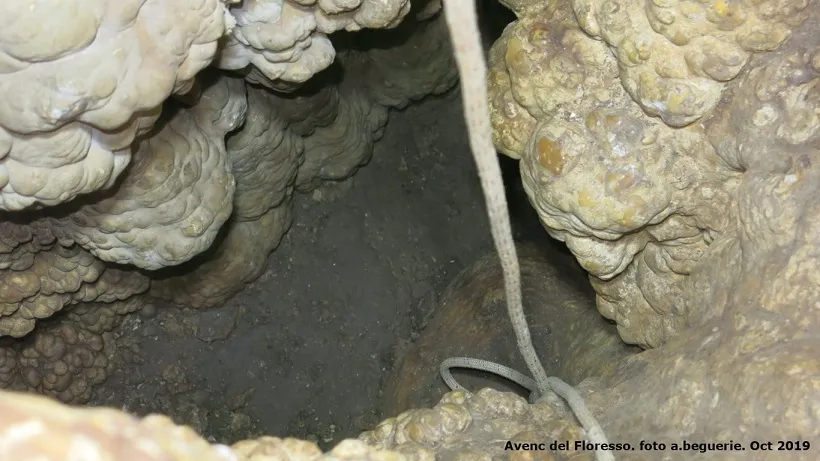 Fotografia de FLORESSO, AVENC D'EN (3 de 6)