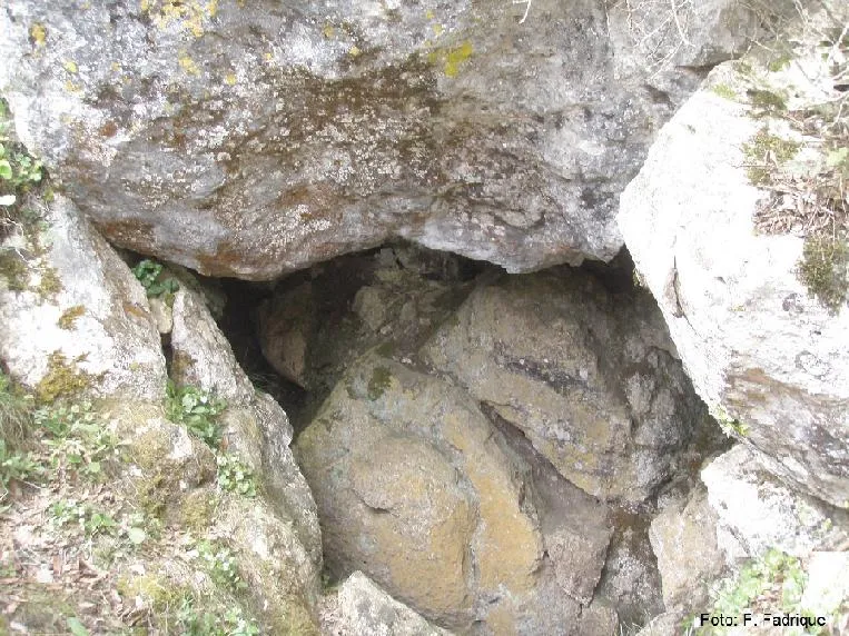 Photographie de FREDA, COVA (1 sur 5)