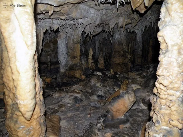 Fotografia de PI, COVA DEL (6 de 7)